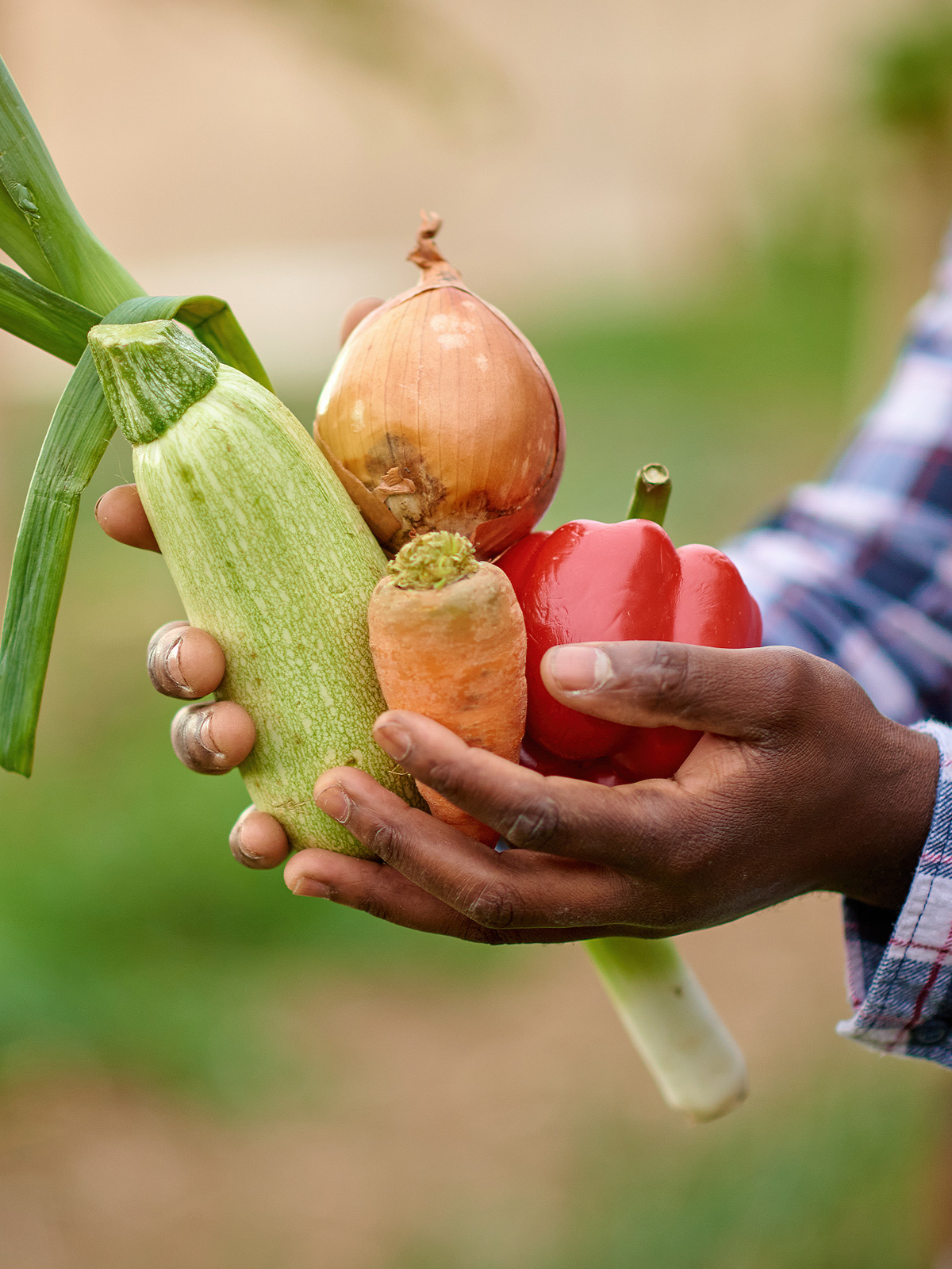 Agricultura sustentável